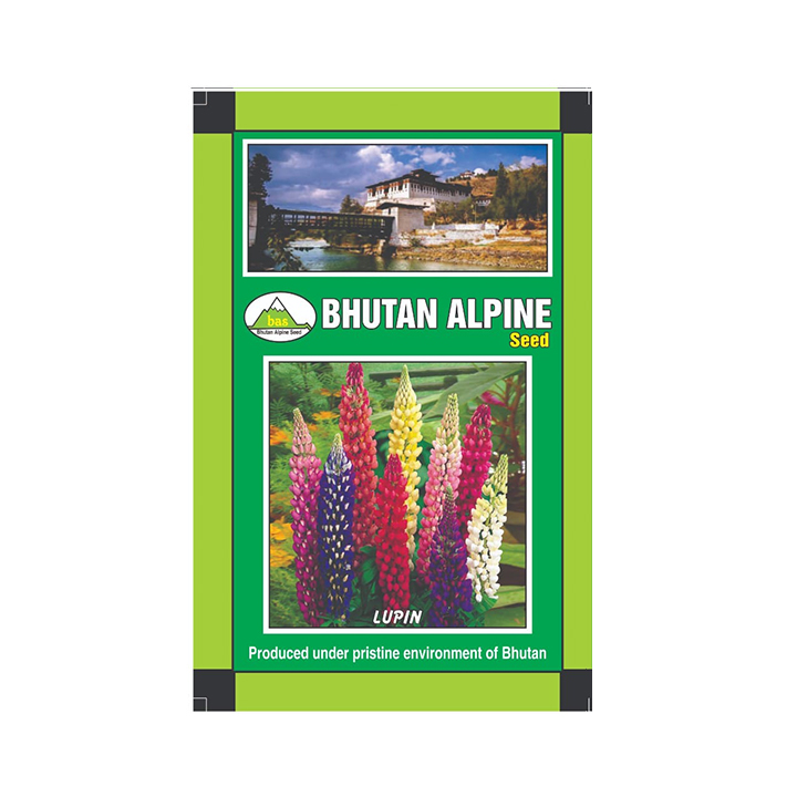 Bhutan Alpine Seed - Lupin