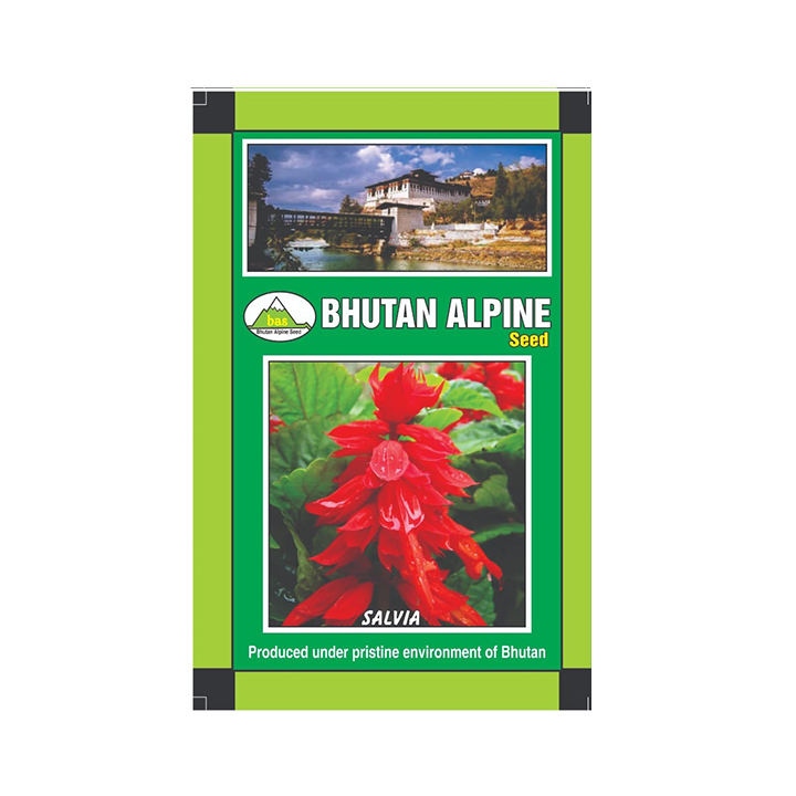 Bhutan Alpine Seed - Salvia