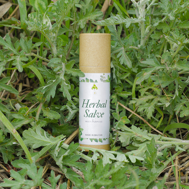 Kingdom Essences Herbal Salve - 25 Gram