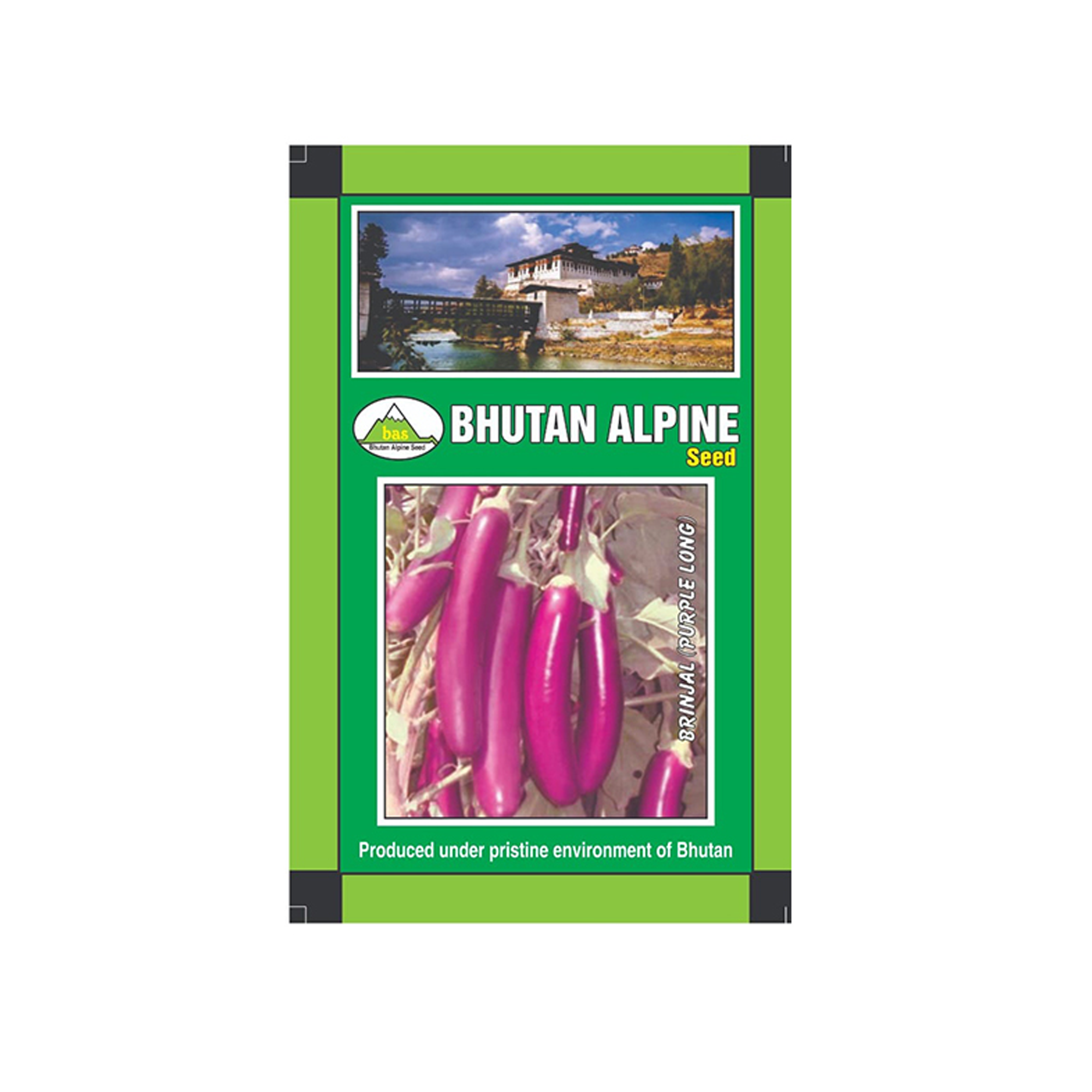 Bhutan Alpine Seed - Brinjal - Purple Long, 5 Gram