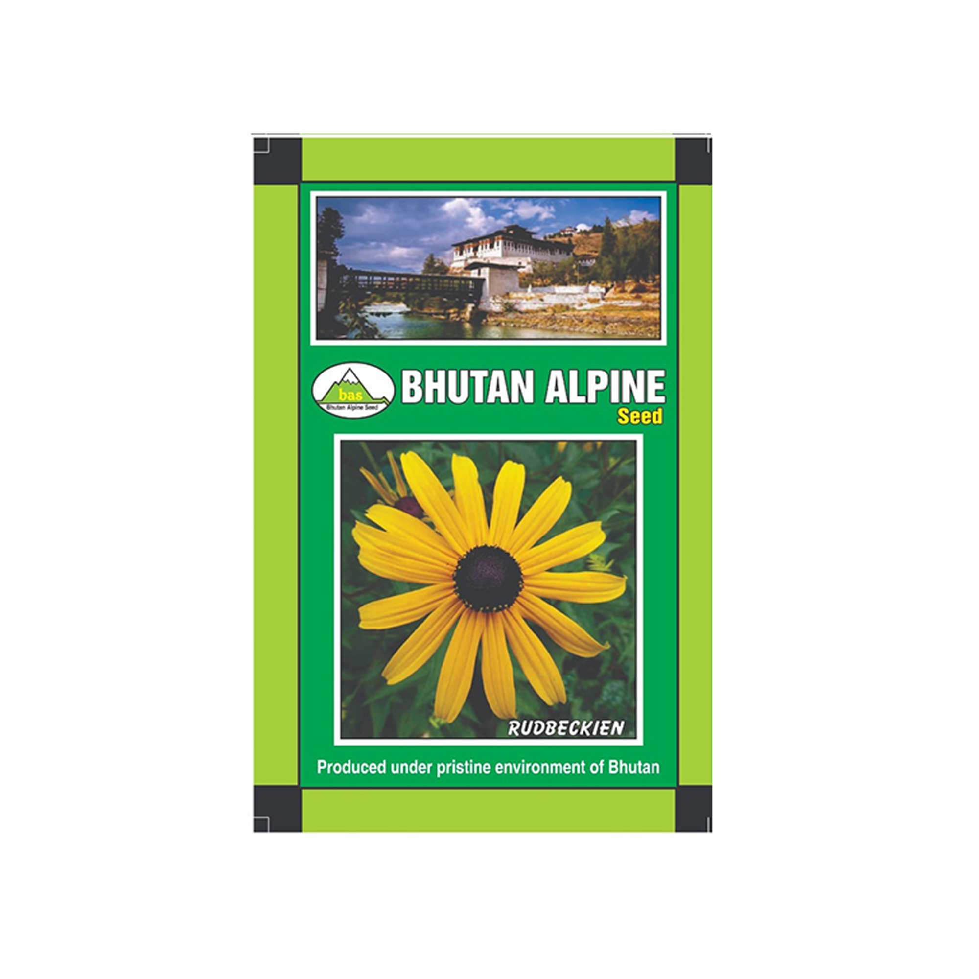 Bhutan Alpine Seed - Rudbeckien