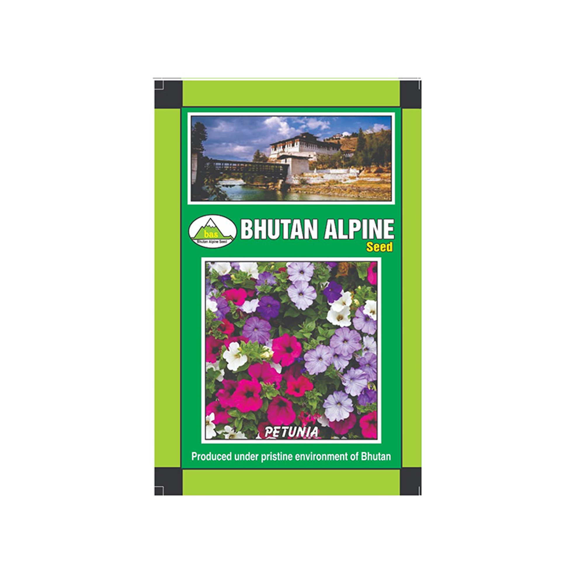 Bhutan Alpine Seed - Petunia