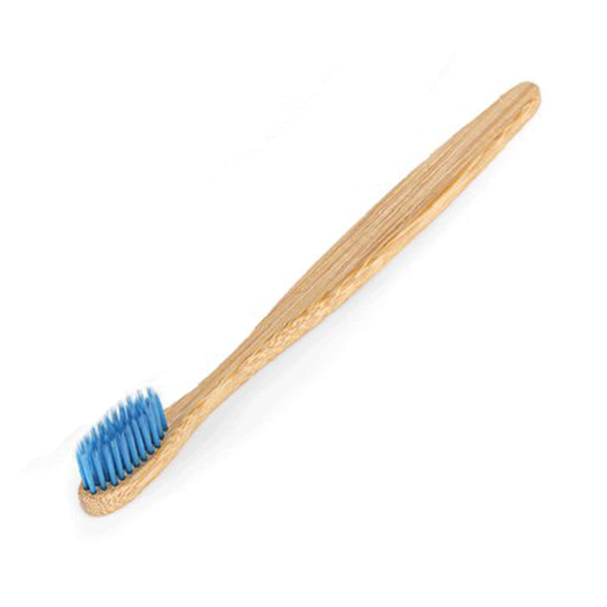 Biodegradable Bamboo Toothbrush C-Curve Handle - Blue